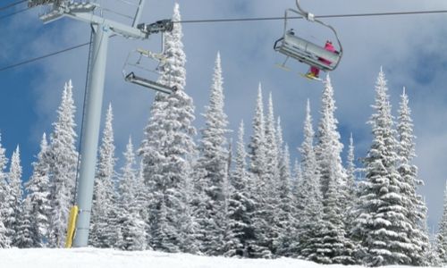 Chairlift with snowy trees